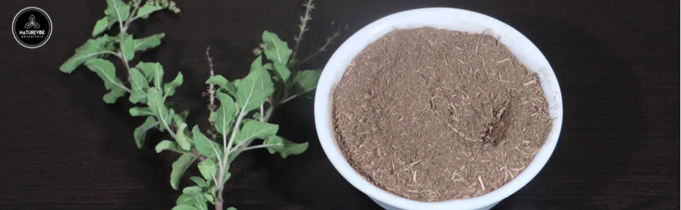 Naturevibe Botanicals Organic Holy Basil Powder (Ocimum sanctum) 5lbs, Tulsi powder (80ounces) - Holy basil powder