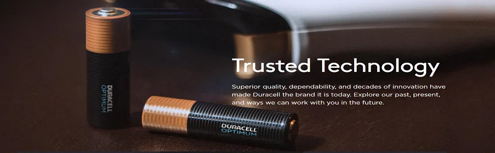 Duracell Alkaline AA 24 Batteries Coppertop MN1500 - product information 1
