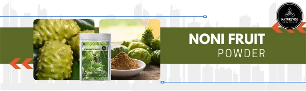 Naturevibe Botanicals Noni Fruit Powder (8 Ounces) - Morinda Citrifolia - 100% Pure & Natural - Noni fruit