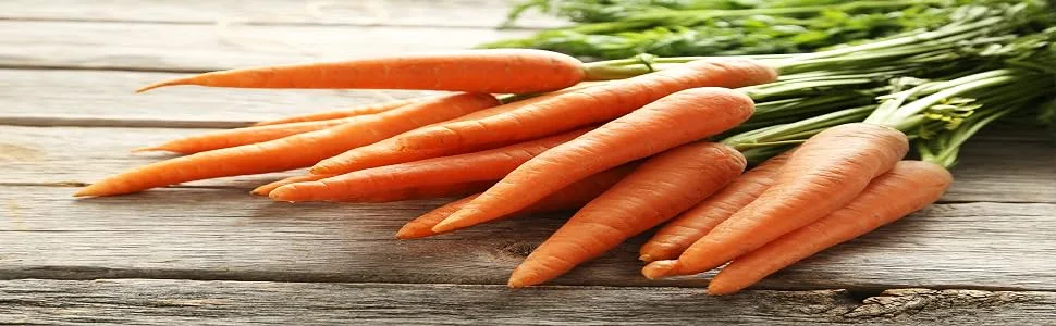 Naturevibe Botanicals Carrot Powder (8oz) - Carrot Powder