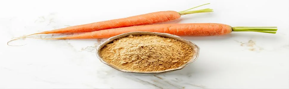 Naturevibe Botanicals Carrot Powder (8oz) - carrot powder