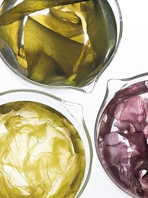 THALGO Revitalizing Night Cream Refill - 3 Algaes Image