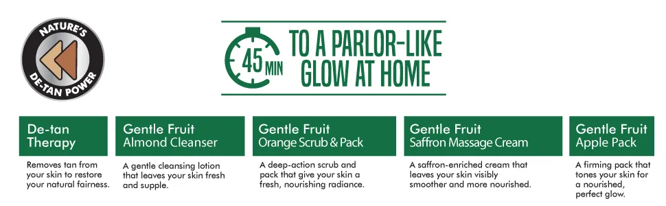Nature's Essence Gentle Fruit Facial Kit (45Grams+30ML) - product information 2
