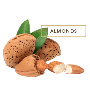 Kama Ayurveda Almond and Coconut Lip Balm 5g - Ingredients