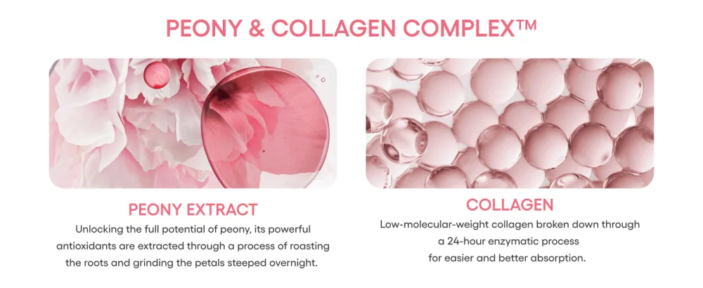 LANEIGE Bouncy and Firm Sleeping Mask: Revitalize Smooth Peony & Collagen Complex Barrier-Boosting Hydration Bouncy and Firm Trio Set - Ingredient 1