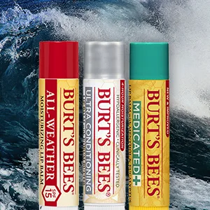 Burt's Bees 100% Natural Moisturizing Lip Balm Coconut & Pear with Beeswax & Fruit Extracts - 4 Tubes White - chapsticks;oragnic;cherry;gift;plumper;butts;chap;wash;soft;health;mabeline;pack;minty;effect;scrub