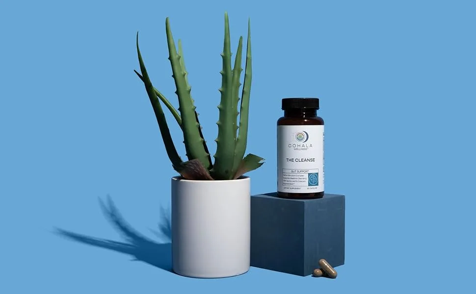 Menopause Relief Patch (60 Day Supply) - Dong Quai Root Selenium Curcumin Folate - 60 Patches - supplement bottle aloe leaf on blue background