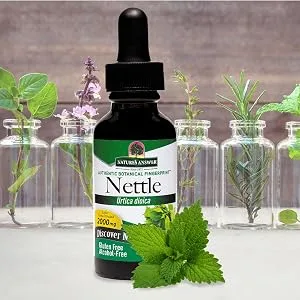 Nature's Answer Nettle Leaf Extract | Concentrated Dark Green Nettle Leaf Herbal Supplement | Non-GMO, Kosher, Gluten-Free, & Alcohol-Free 1oz - Nature