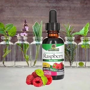 Nature's Answer Low Organic Alcohol Raspberry Leaf Extract, 1-Fluid Ounce nonGMO, Kosher certified, Gluten Free | Supports Health | Soothes Digestion - RASPBERRY EXTRACT PURE / PURITY ORGANIC ALCOHOL Gluten Free traditional herbal remedies vitamins