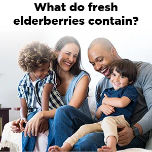 Nature Made Elderberry 400 mg Extract with Vitamin C and Zinc, Dietary Supplement for Immune Support, 60 Capsules, 60 Day Supply - Photograph stating what fresh elderberries contain