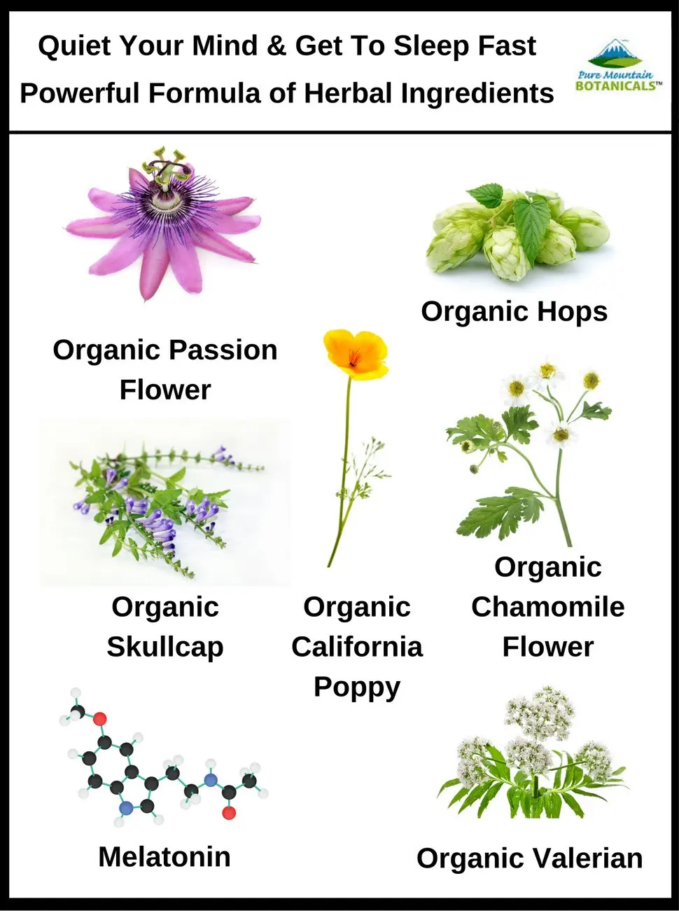 Natural Sleep with Organic Valerian, Chamomile, Passion Flower, Skullcap, Melatonin, Hops & More - 60 Vegan Capsules - product information 1
