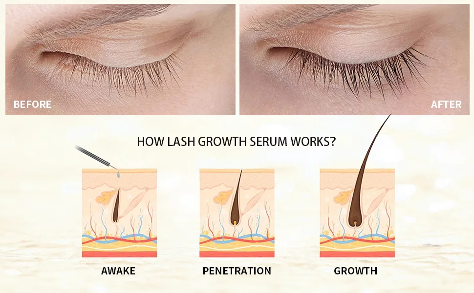 Libeauty Eyelash Serum Natural Ingredients Grande Lash Essence Make Lashes Longer Thicker And Fuller(2 Ml) - working principle