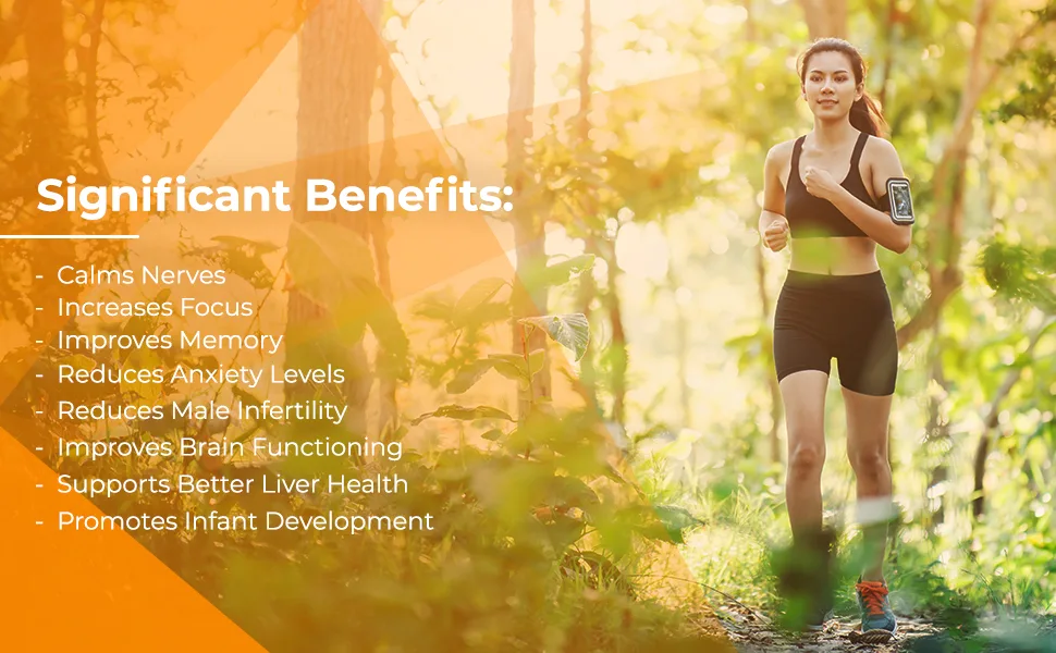 Natural Nutra Soy Lecithin Dietary Supplement, Support Brain Functioning, Liver Performance and Reproductive Health, Infant Development, Boost Brain Functioning, Gluten-Free, Non GMO, 100 Softgels 100 Count (Pack of 1) - Support Memory, Learning, Reproductive Health, Nerves, and Vital Organs with Natural Nutra