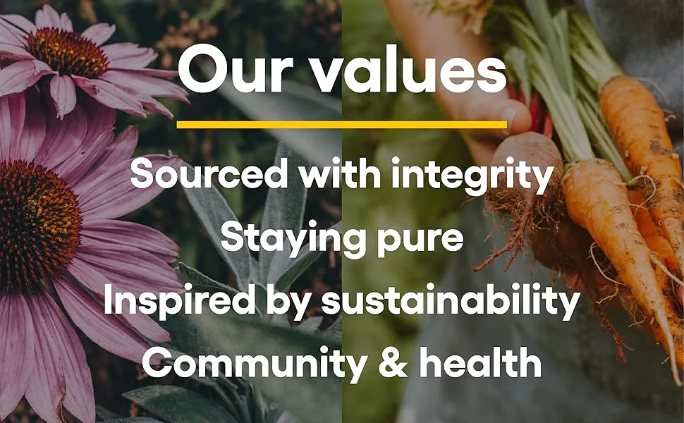 Natural Factors, Stress-Relax Chewable Pharma GABA, Supports Relaxation and Mental Focus, 120 Count (Pack of 1) - Our values: Sourced with integrity Staying pure Inspired by sustainability Community & health