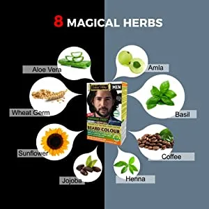 Indus Valley Natural Damage Free Men Mustache & Beard Color for Gray Hair Black - organic beard color