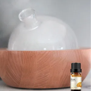 Mango Fruit Fragrance Oil Essential Oil 10ml for Diffusers Humidifiers - Mango Essential Oil