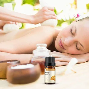 Mango Fruit Fragrance Oil Essential Oil 10ml for Diffusers Humidifiers - Mango Essential Oil
