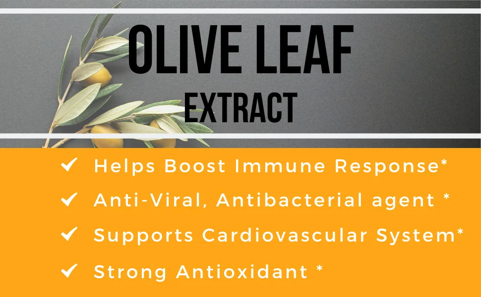 Naravis Olive Leaf Extract - 750mg - 120 Veggie Capsules - 20% Oleuropein - Non-GMO - Immune Support - Cardiovascular Health - Antioxidant Supplement - Olive Leaf Extract Super Strength