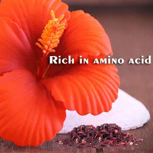 Indus Valley Natural Organic Herbs Powder (Hibiscus) - hibiscus