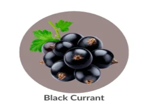 LaCura Advanced C Serum - Black Currant
