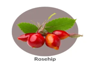 LaCura Advanced C Serum - Rosehip