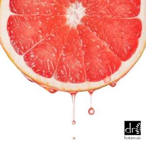 Dr Botanicals Grapefruit & Watermelon Anti-oxidant Rich Superfood Refreshing Cleanser (60ml Jar) - Natural