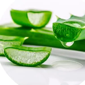 Valquer Shampoo Bar Sulfates Free Soap Free No Plastics 100% Vegan and Cruelty - Free - Zero waste & Eco -Friendly 50 gr (Dry Hair) Foaming effect - ALOE
