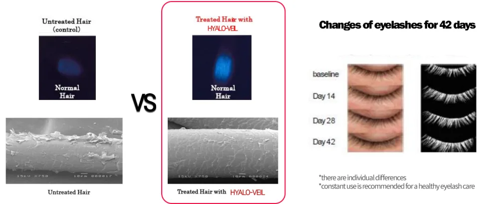 Lash Correcting Care 01 Essential Serum(1+1 SET) Long Extension + Essential Serum - CHANGES OF EYELASHES FOR 42DAYS