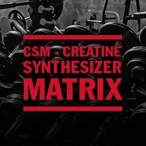MUTANT CREAKONG CX8 | Advanced Creatine Multiplier | Creatine + Amino Acid Supplement - 249 g | 30 Serving - creatine monohydrate weight gainer protein powder hcl powder preworkout on pills capsules creapure