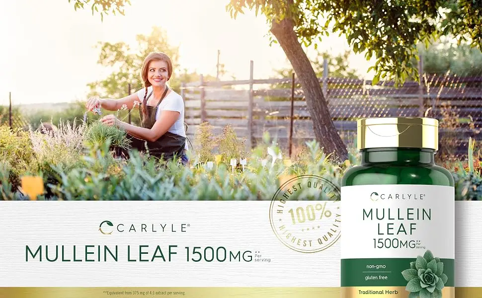 Mullein Leaf Capsules 1500mg | 200 Count | Verbascum Thapsus | Non-GMO, Gluten Free Supplement | by Carlyle - mullein leaf capsules