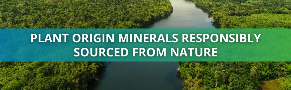 Morter Trace Minerals in Colloidal Suspension  Morter HealthSystem Best Process Alkaline  Nutrient Dense Trace Elements, Fulvic Minerals & Amino Acids 1 - Plant Origin Minerals Responsibly Sourced from Nature