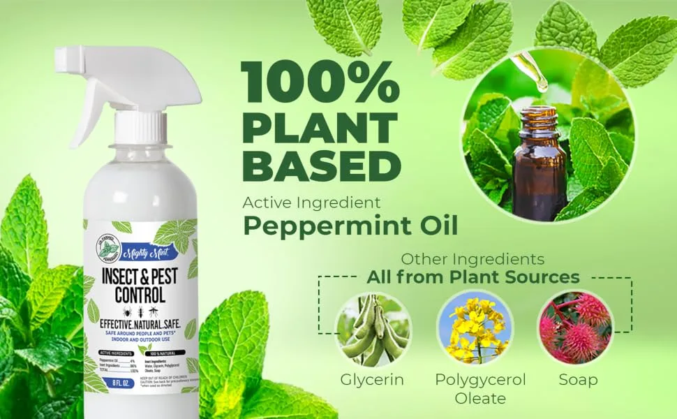 Mighty Mint 8oz Insect and Pest Control Peppermint Oil - Natural Spray for Spiders, Ants, and More - Non-Toxic (2) - 100% Natural Plant-based Ingredients Source