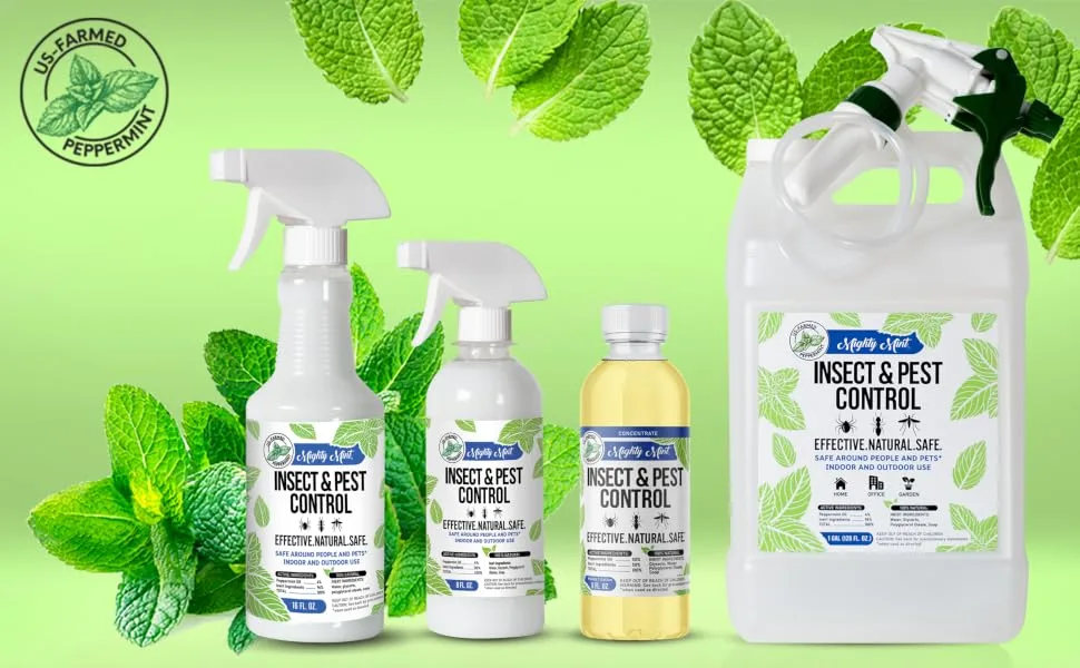 Mighty Mint 8oz Insect and Pest Control Peppermint Oil - Natural Spray for Spiders, Ants, and More - Non-Toxic (2) - Mighty Mint Insect Peppermint Repellent Products - 16oz, 8oz, concentrate, gallon
