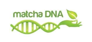 Matcha Teabags MatchaDNA Certified Organic Matcha Green Tea by MATCHA DNA - 100 Teabags 100 Count (Pack of 1) - Matcha DNA Logo