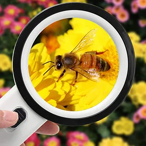 Magnifying Glass with Light,30X High Power Jumbo Lighted Magnifiers Lens for Seniors Reading Small Print,Stamps, Map,Inspection, Macular Degeneration - hobbies