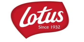 Lotus Biscoff Cookies  Caramelized Biscuit Cookies  64 Cookies (2 packs of 32)  Vegan - product information 3