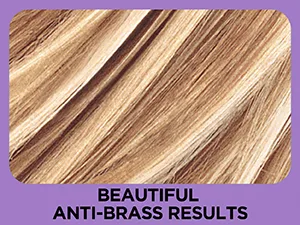 L'Oreal Paris Professional Techniques Frost and Design, Caramel, 1-Count Caramel 1 Count (Pack of 1) - example of anti-brass highlight hair results