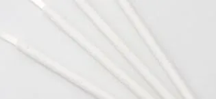 Disposable Lipstick Gloss Wands with Soft Brush Head Makeup Kits-Pack of 100(Transparent Handle) - Disposable Lipstick Gloss Wands