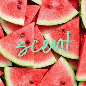 Tree Hut Moisturizing Bath Soak Watermelon 16 oz 16 Ounce (Pack of 1) - Tree Hut Watermelon scrub Scent