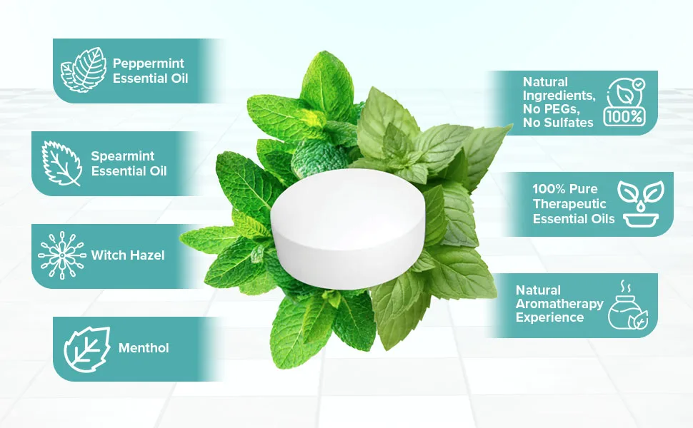 Arctic Mint Shower Tablets (10 Tabs) Peppermint & Spearmint Essential Oils 10 Count (Pack of 1) - peppermint spearmint shower aromatherapy