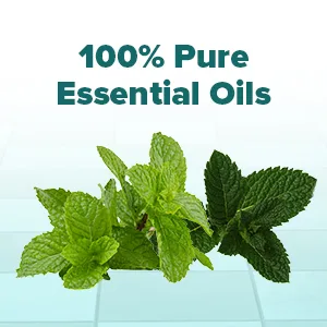 Arctic Mint Shower Tablets (10 Tabs) Peppermint & Spearmint Essential Oils 10 Count (Pack of 1) - pure essential oils