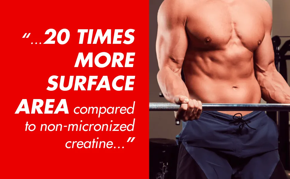SAN Performance Creatine 300g- Supports Muscle Growth + Athletic Performance - 60 Servings 60 Servings (Pack of 1) - Perf Creatine Graphic 2