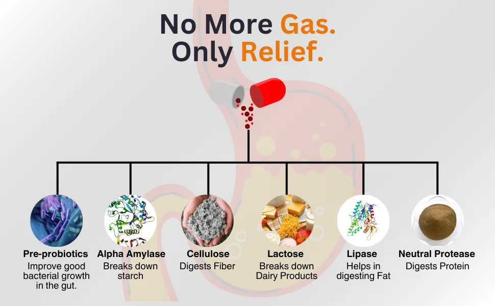 herbal Gas Crush Tablet | Acidity Heartburn Gas & Bloating Strengthens Digestive System Helps in reducing Acidity (Pack of 1-60 Tablets) - product information 16