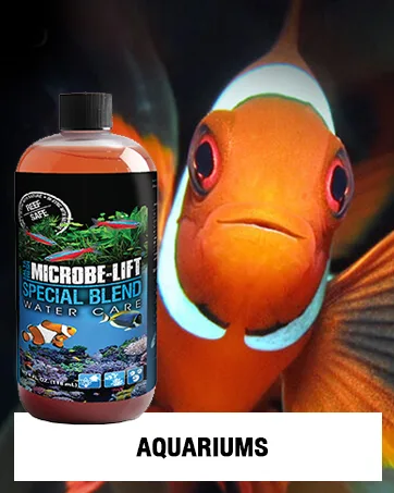MICROBE-LIFT Septic Tank Treatment Flush 'N Go System Maintainer 6 2OZ Packets Flush 'N Go System Maintainer 1 Ounce (Pack of 1) - Aquariums