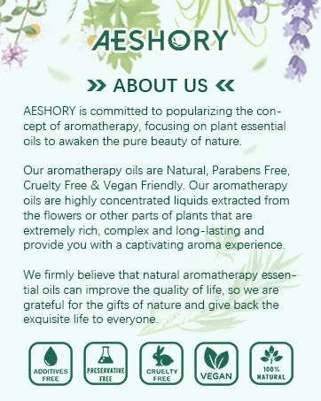 Bakery Essential Oils Set - Fragrance Oil for Diffusers Candle Making - Pumpkin Pie Coffee Cake Oatmeal Cookie Gingerbread Cinnamon Apple Aromatherapy Scented Oils (5ml) Bakery 0.17 Fl Oz (Pack of 14) - essential oils