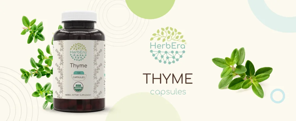 Thyme 120 Capsules 800 mg USDA Organic Thyme (Thymus Vulgaris) Dried Leaf (120 Capsules) 120 Count (Pack of 1) - Thyme