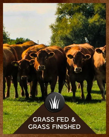 Grass Fed Beef Liver Capsules | Dessicated Liver Supplement | Freeze Dried Liver Pills | 30 Servings | 3000 mg | 120 Count - beef liver beef liver capsules beef liver supplement beef liver supplement grass fed beef organ