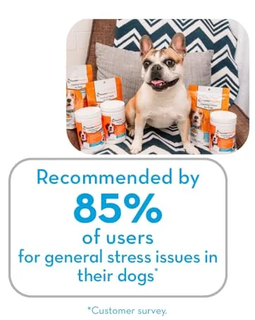ThunderWunders Dog Calming Chews | Thiamine L-Tryptophan Melatonin and Ginger | Can Help Relieve Stress from Separation Storms Fireworks & Travel (180 Count) 19 Ounce (Pack of 1) - 8%% of users recommend ThunderWunders for general stress issues