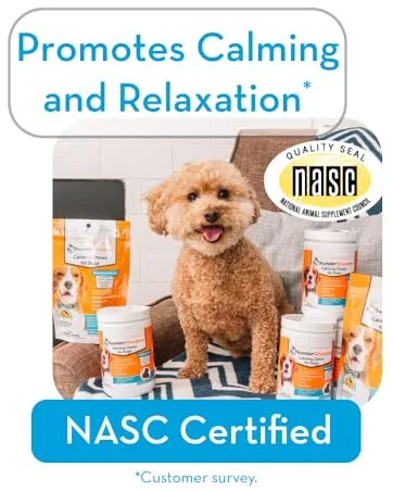 ThunderWunders Dog Calming Chews | Thiamine L-Tryptophan Melatonin and Ginger | Can Help Relieve Stress from Separation Storms Fireworks & Travel (180 Count) 19 Ounce (Pack of 1) - Promotes calming and relaxation. nasc certified