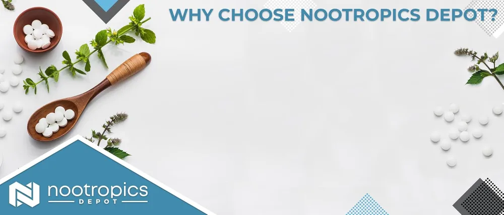 BaCognize Bacopa Monnieri Capsules | 300mg | 240 Count | Ayurvedic Herb | Nootropic Brain Booster | Supports Stress Management | Improves Memory Cognition + Mood - Why Choose Nootropics Depot?